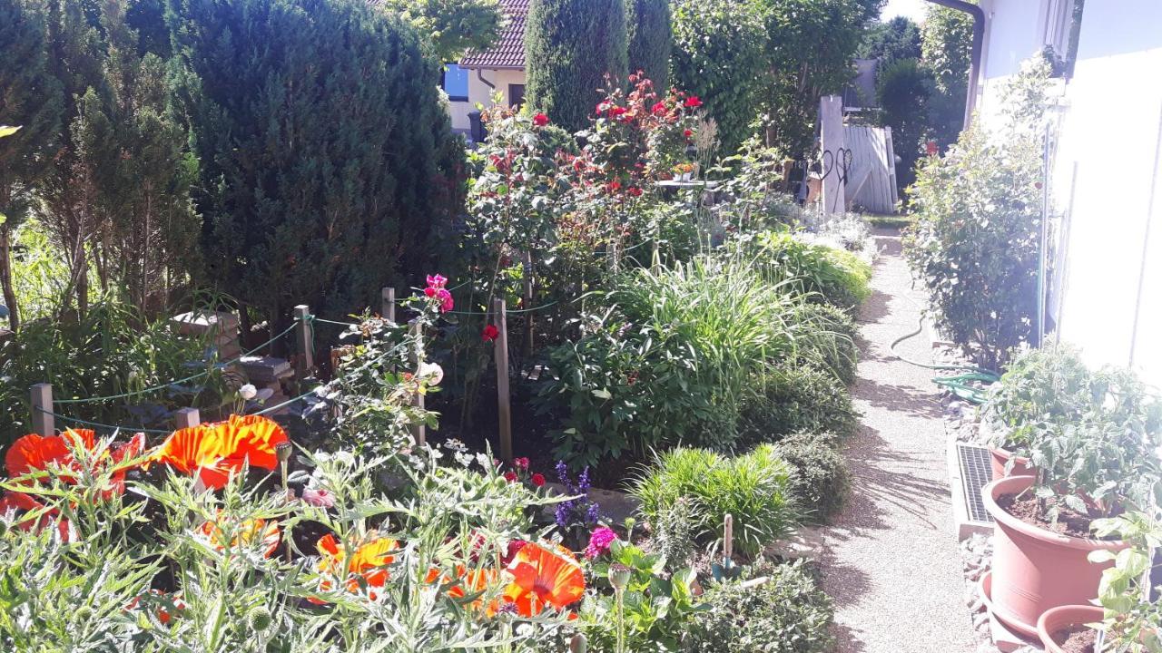 Ferienwohnung Schwarzwaldglueck Löffingen Buitenkant foto