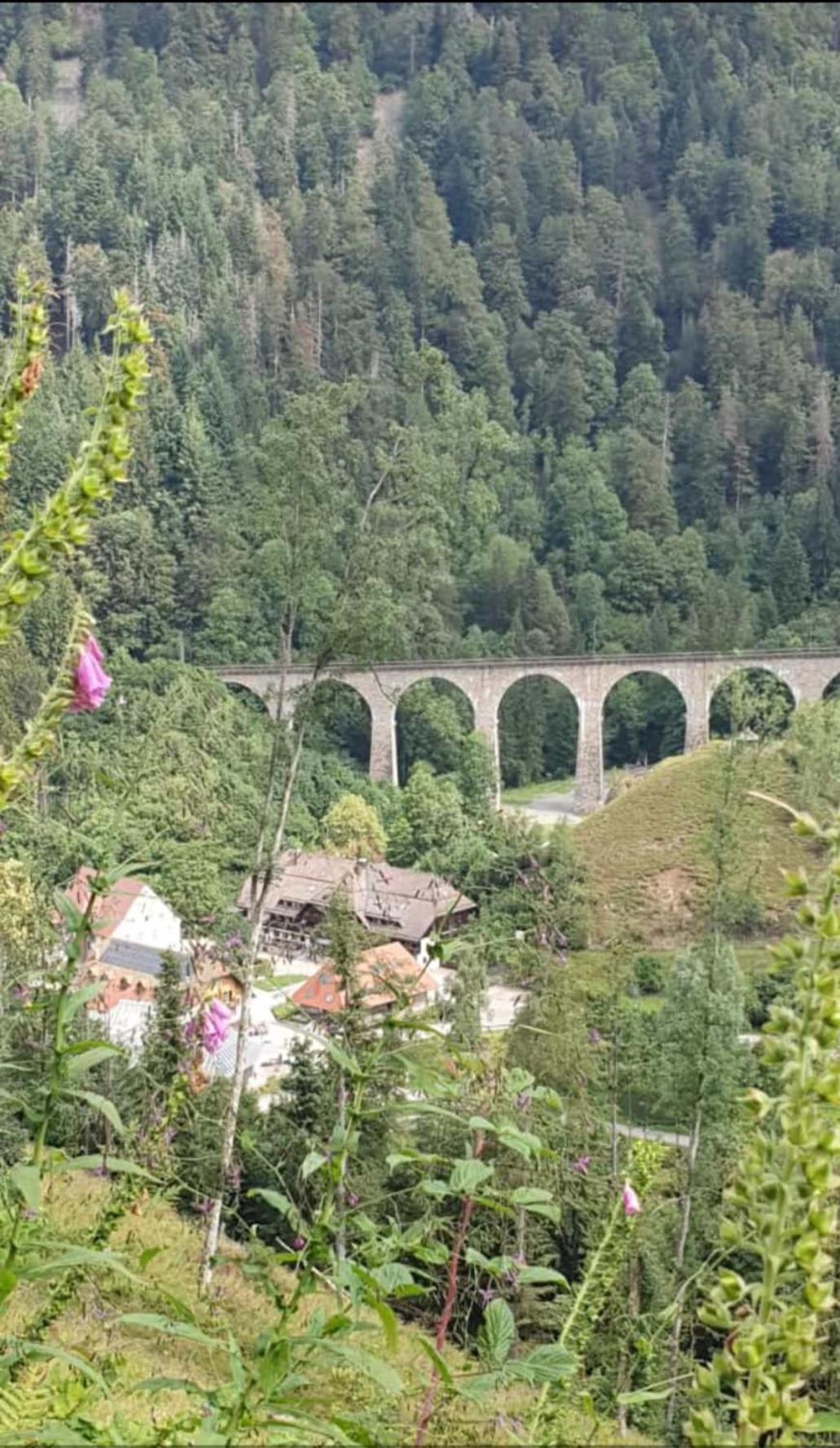 Ferienwohnung Schwarzwaldglueck Löffingen Buitenkant foto
