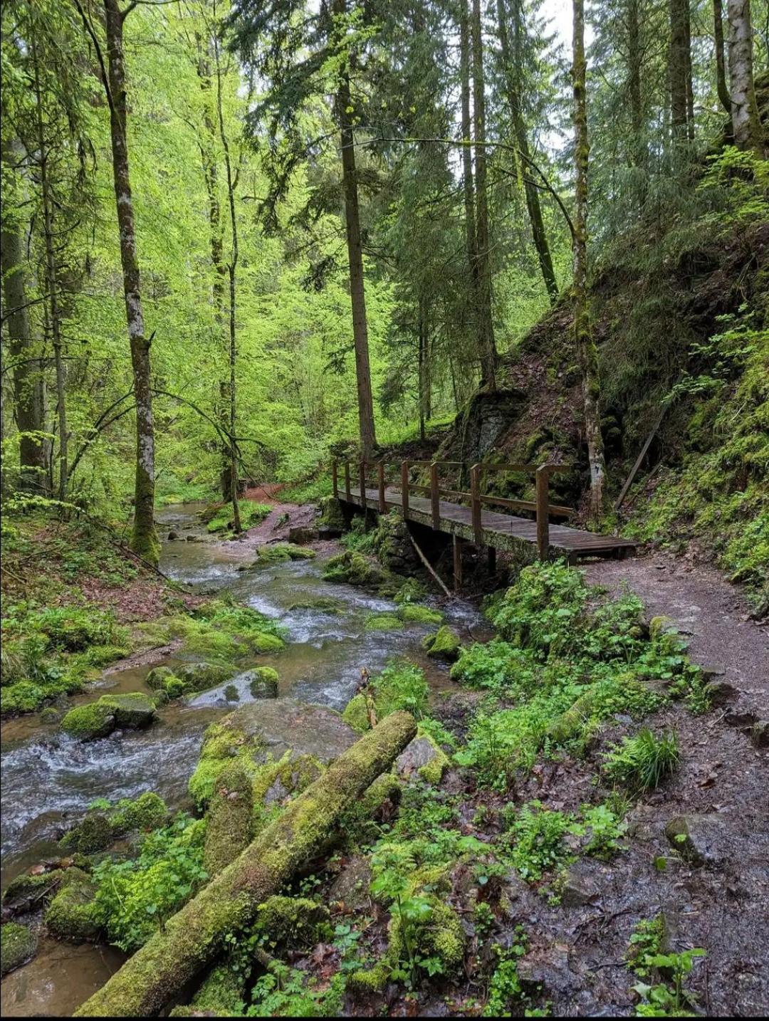 Ferienwohnung Schwarzwaldglueck Löffingen Buitenkant foto