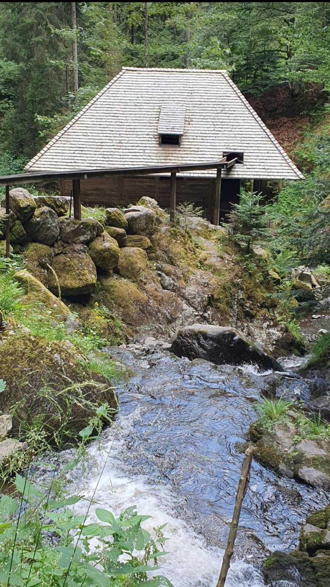 Ferienwohnung Schwarzwaldglueck Löffingen Buitenkant foto